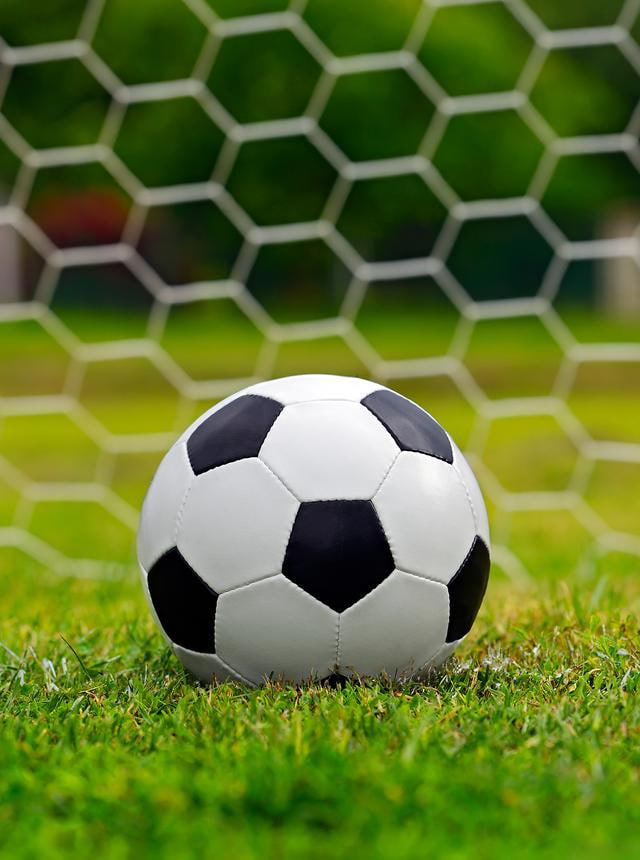 用户通过雷速体育篮球比分app学习篮球知识